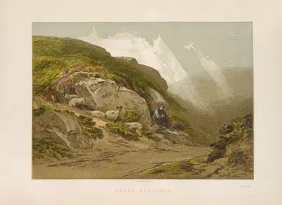 Rocks, Dartmoor by George Barnard, 1885 — digital art print download