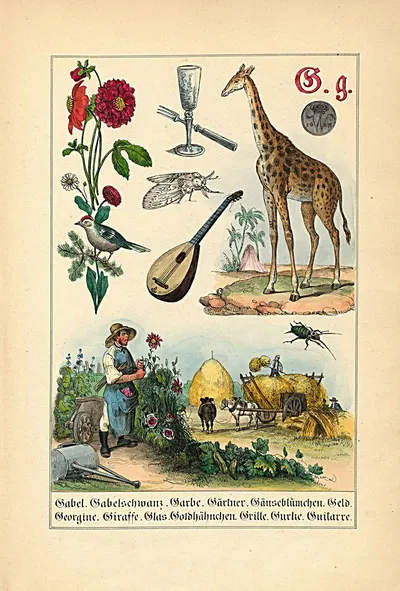 G. g. Gabel. Gabelschwanz. Garbe... by Johann Baptist Sonderland, 1849 — digital art print download