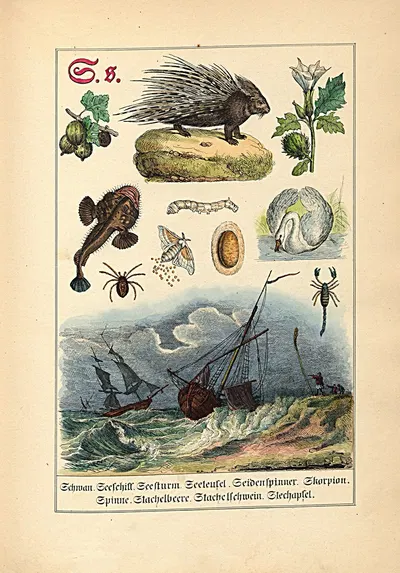 S. s. Schwan. Seeschiff. Seesturm... by Johann Baptist Sonderland, 1849 — digital art print download