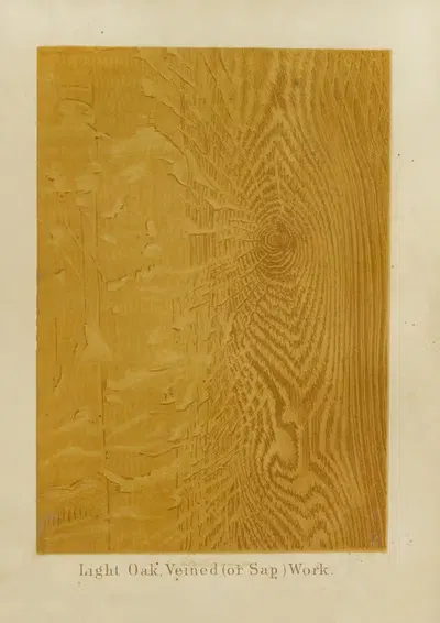 Light Oak, Veined (or Sap) Work by John Wesley Masury, 1872 — digital art print download