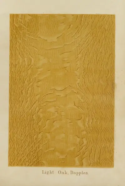 Light Oak, Dapples by John Wesley Masury, 1872 — digital art print download