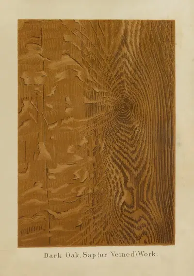 Dark Oak, Sap (or Veined) Work by John Wesley Masury, 1872 — digital art print download