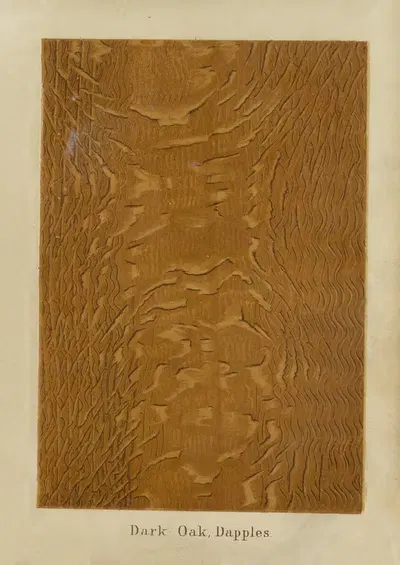 Dark Oak, Dapples by John Wesley Masury, 1872 — digital art print download