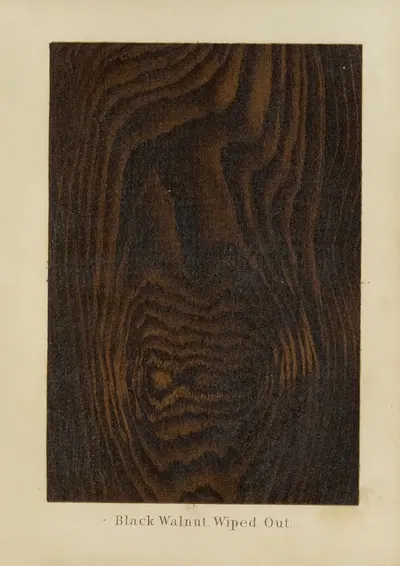 Black Walnut. Wiped Out by John Wesley Masury, 1872 — digital art print download