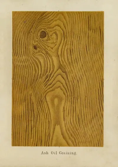Ash Oil Graining by John Wesley Masury, 1872 — digital art print download