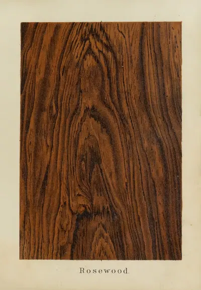 Rosewood by John Wesley Masury, 1872 — digital art print download