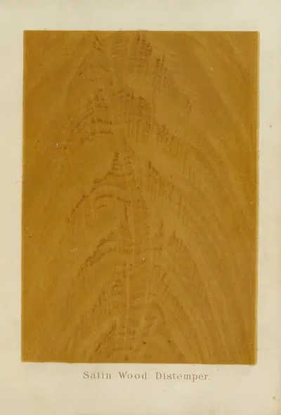 Satin Wood. Distemper by John Wesley Masury, 1872 — digital art print download