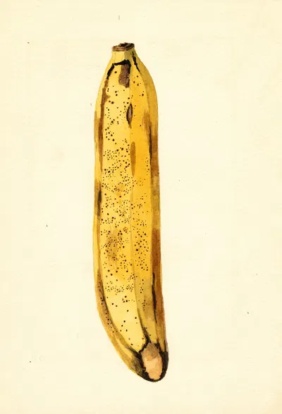 Musa by James Marion Shull, 1919 — digital art print download