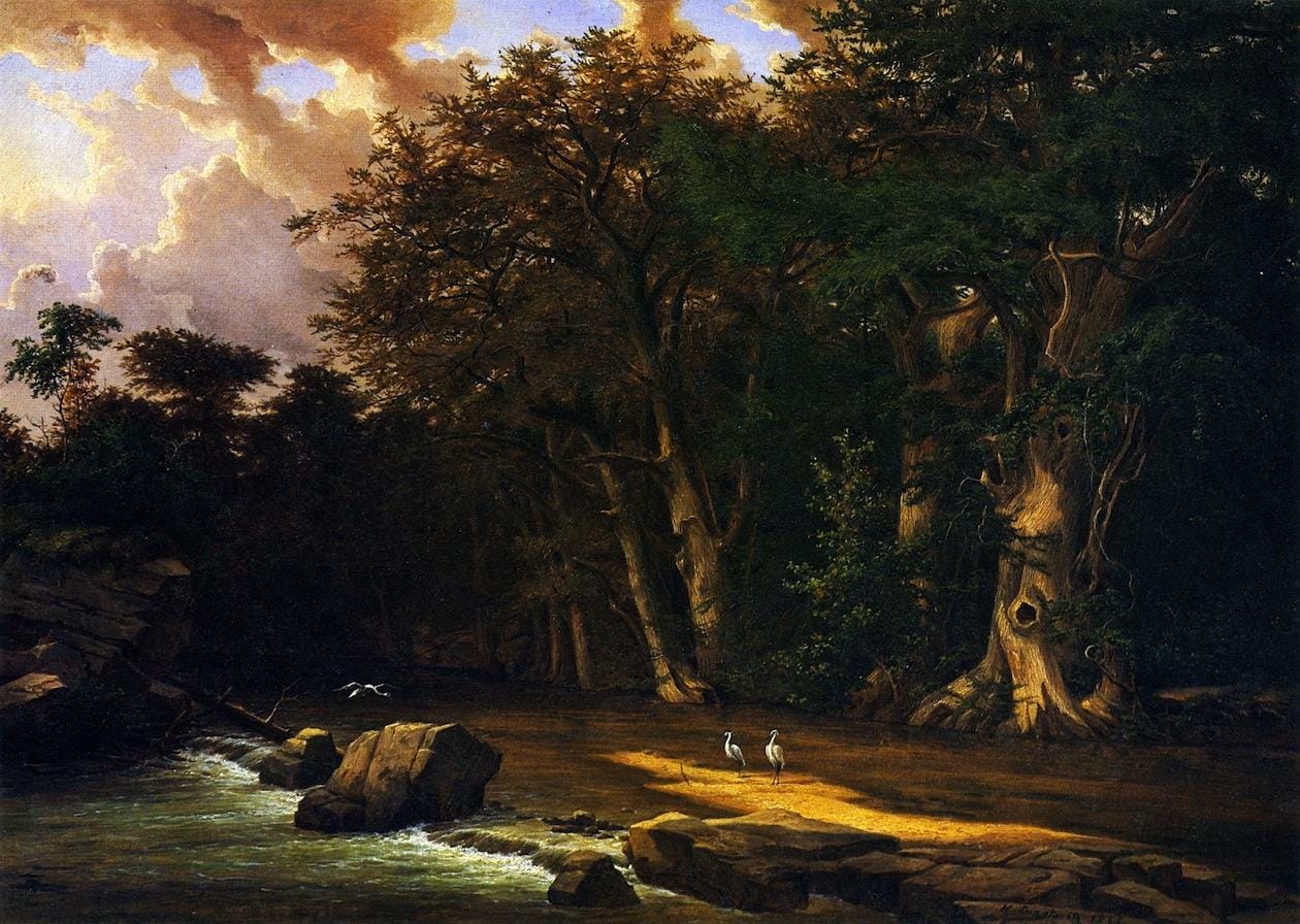 Herons on the Pedernales River — Hermann Lungkwitz