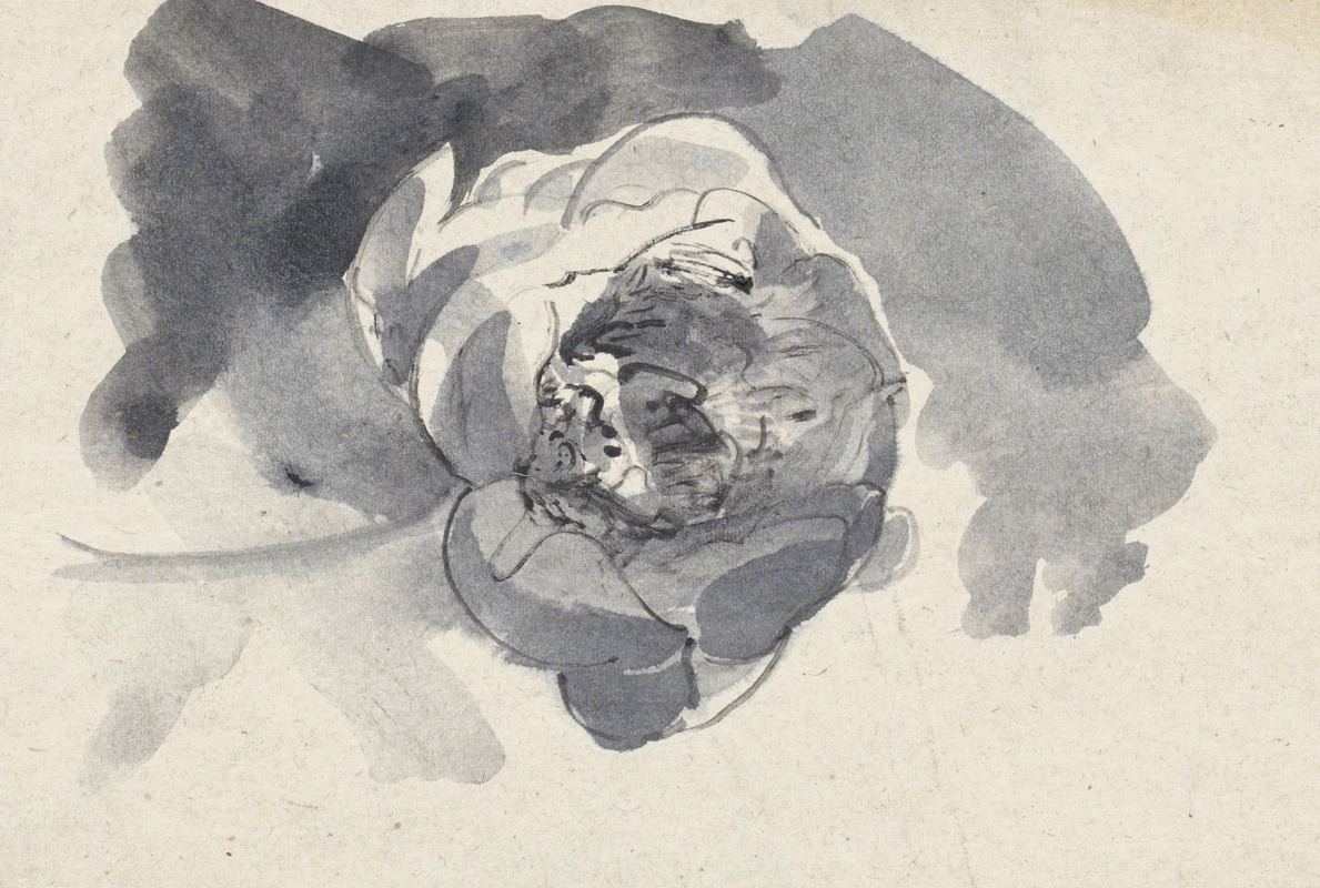 ЦветочнаяStudy by Карел Адольф Лион Каше, 1874 — digital art print download