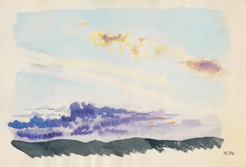 Натурные исследования XXXV — Карл Винер