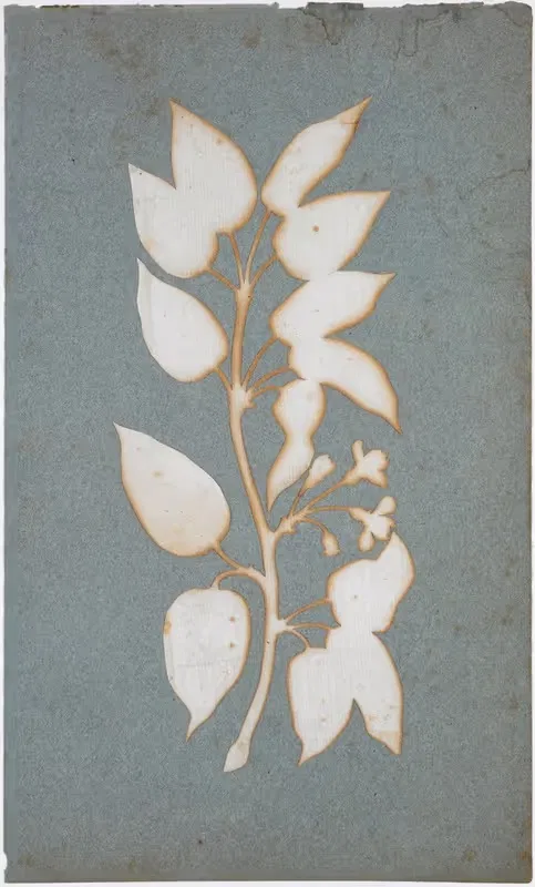 Blütenzweig — Philipp Otto Runge