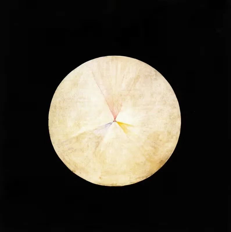 Series SUW, No 14 Swan — Hilma af Klint