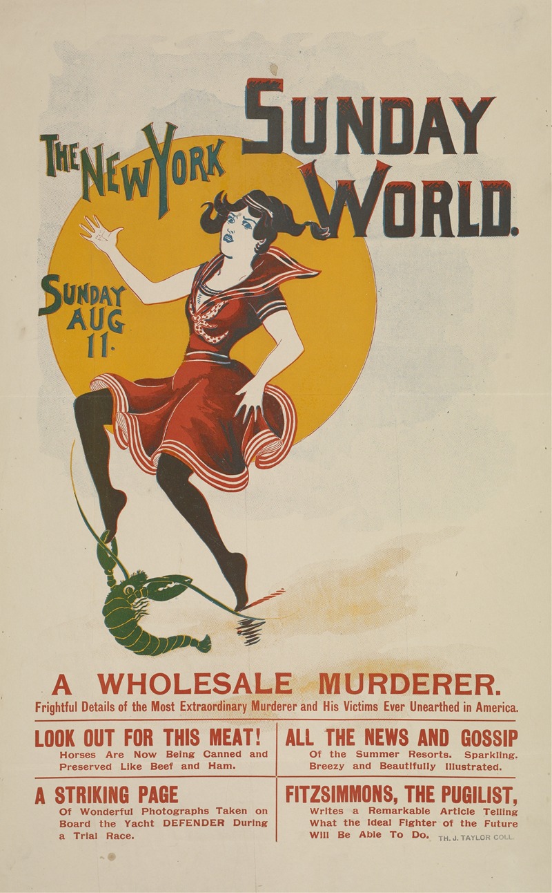 The New York Sunday world. — Anonymous