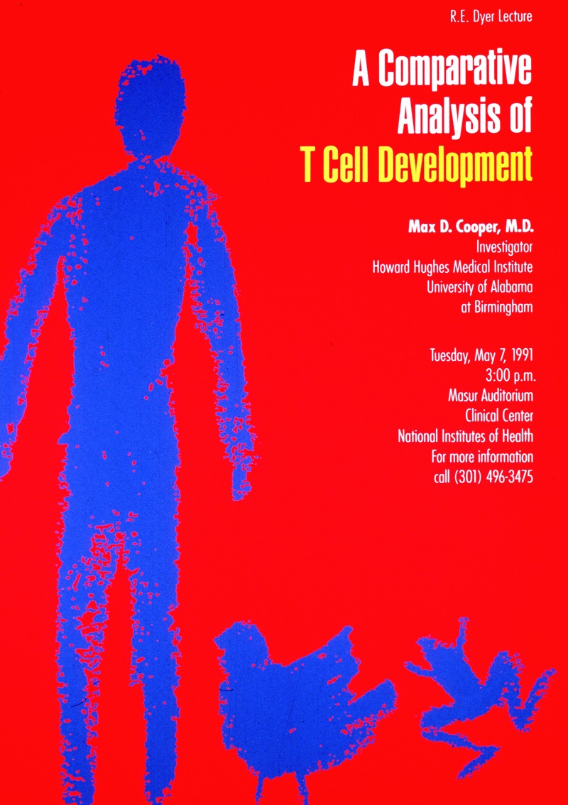 A comparative analysis of T cell development by National Institutes of Health, 1991 — digital art print download