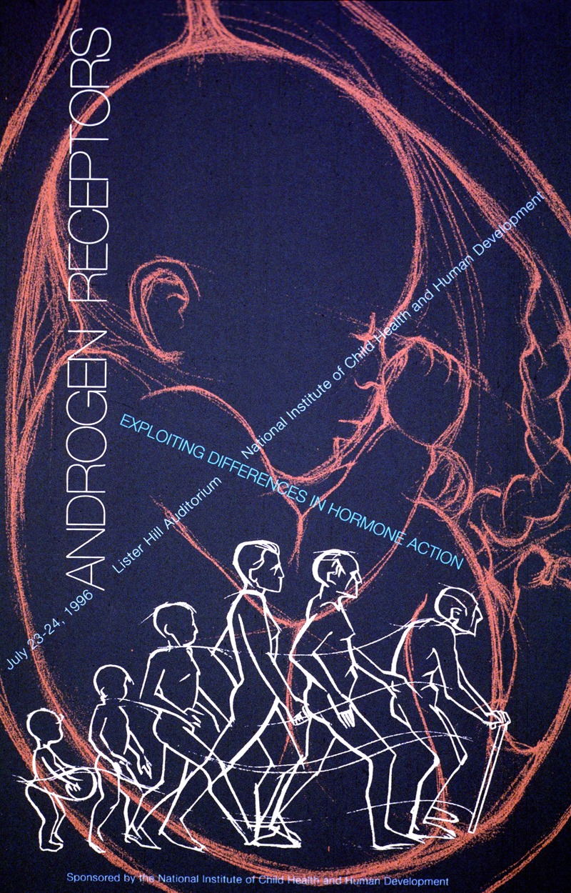 Androgen receptors; exploiting differences in hormone action by National Institutes of Health, 1996 — digital art print…