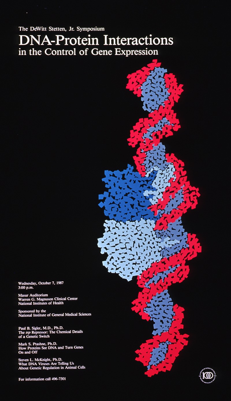 DNA-protein interactions in the control of gene expression — National Institutes of Health