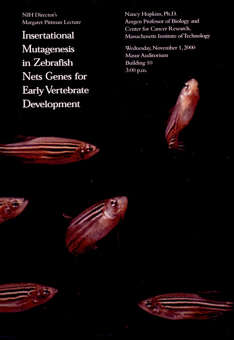 Insertational mutagenesis in zebrafish nets genes for early vertebrate development by National Institutes of Health, 2000 —…