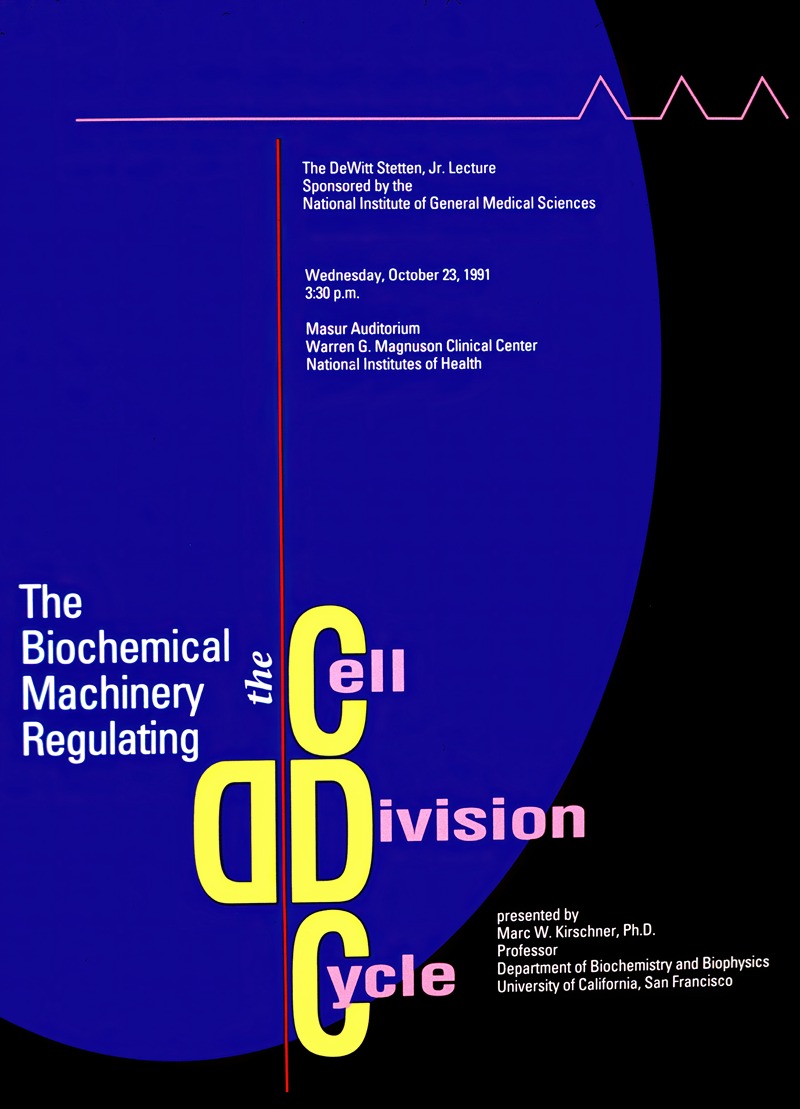 The biochemical machinery regulating the cell division cycle — National Institutes of Health