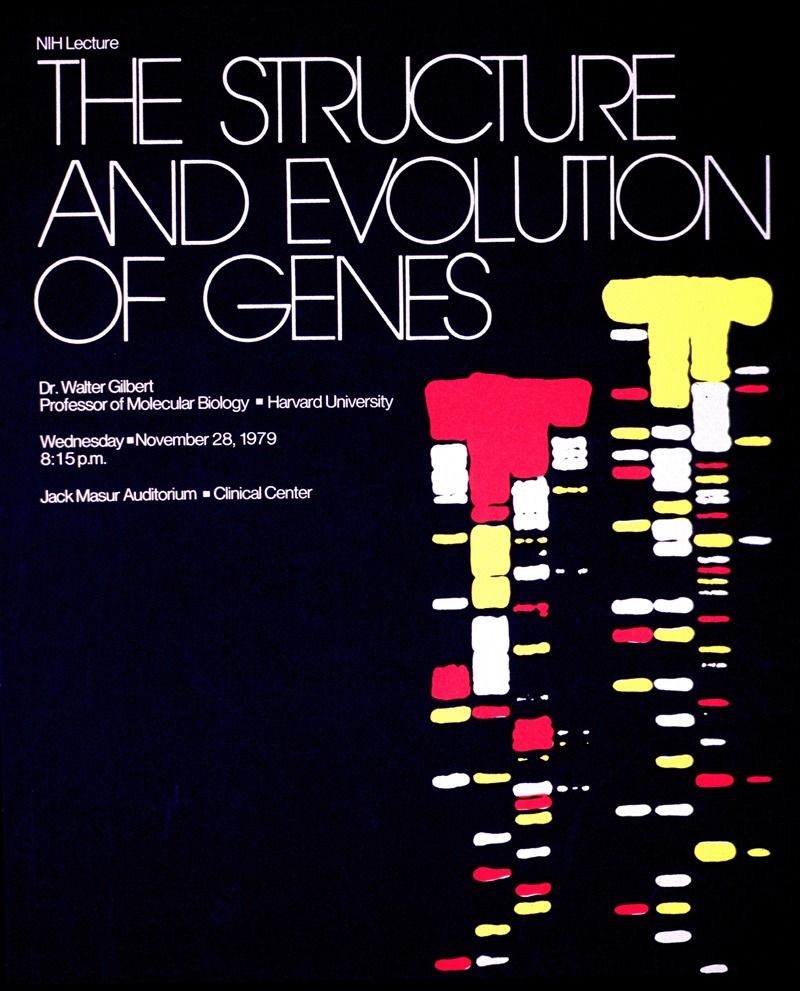 The structure and evolution of genes by National Institutes of Health, 1979 — digital art print download