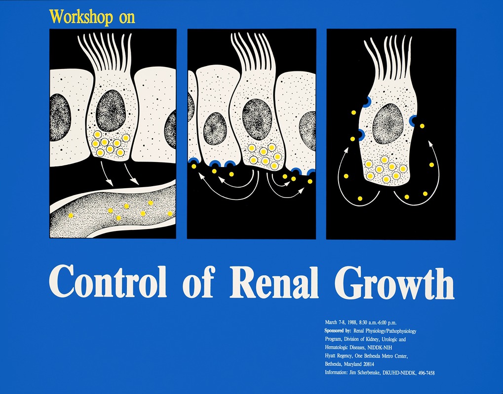 Workshop on control of renal growth by National Institutes of Health, 1988 — digital art print download