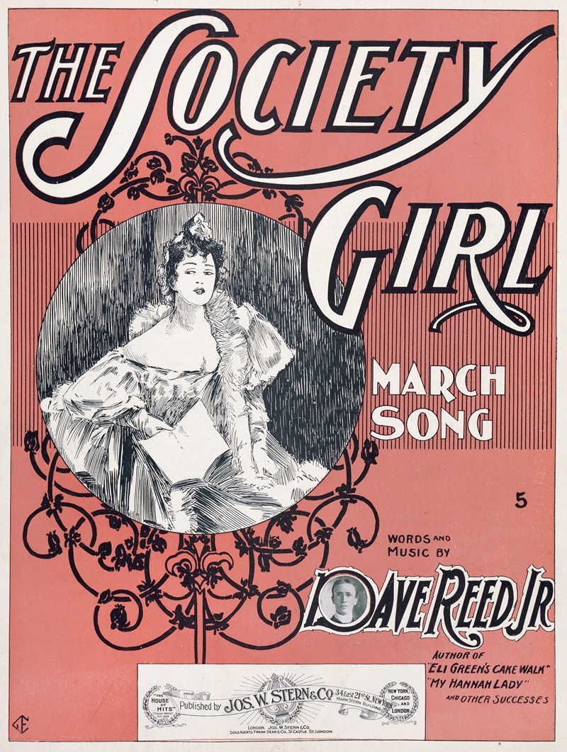 The society girl — Anonymous