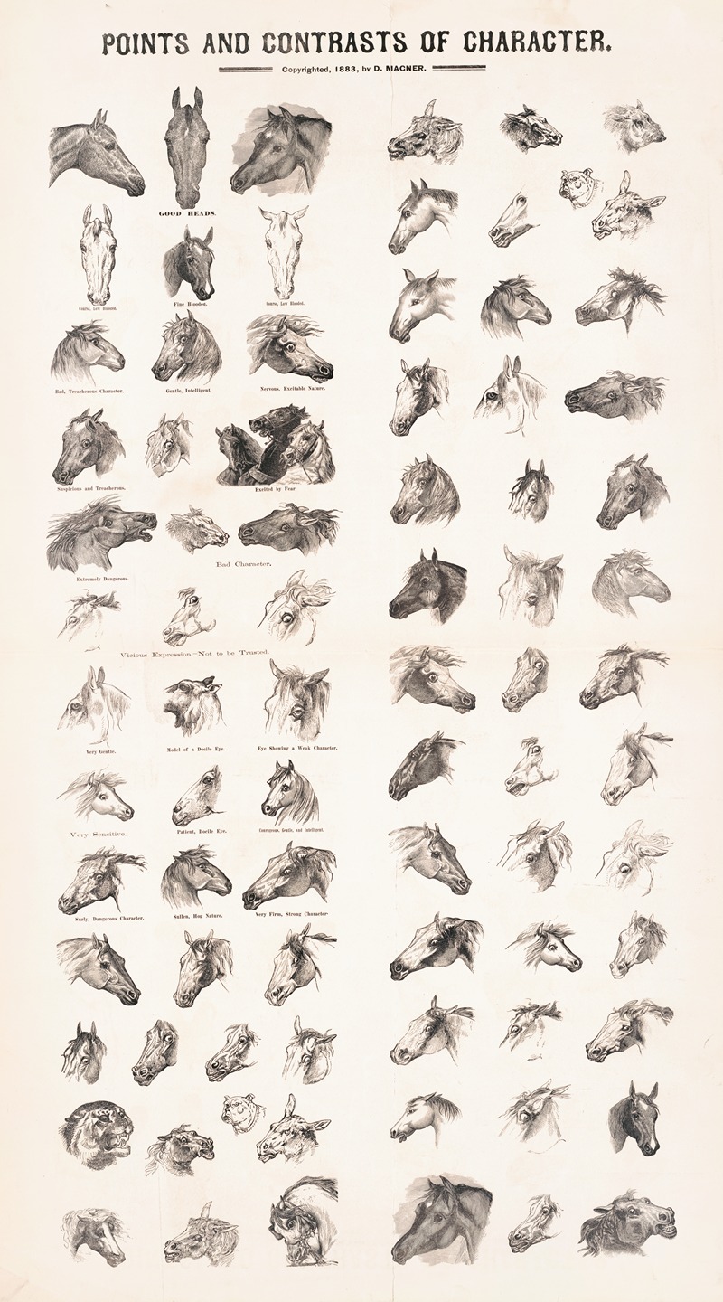 Points and contrasts of character by D. Macner, 1883 — digital art print download