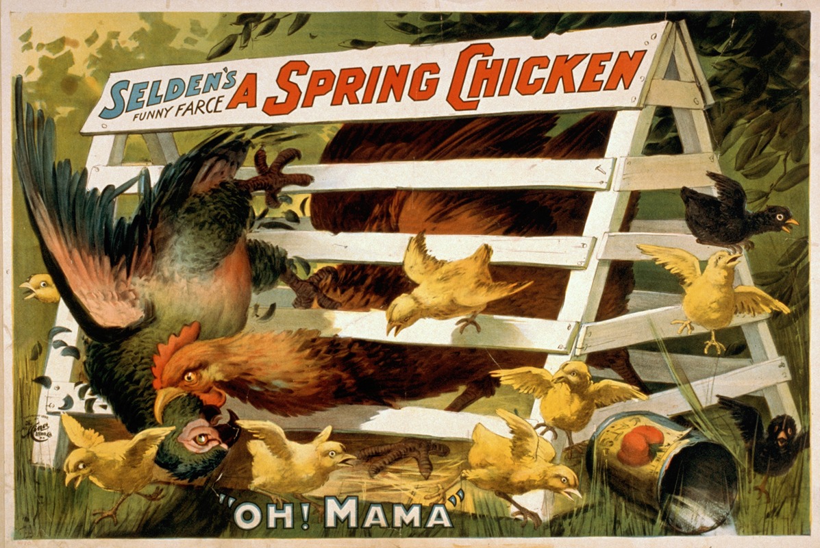 Selden's funny farce, A spring chicken by H.C. Miner Litho. Co., 1898 — digital art print download