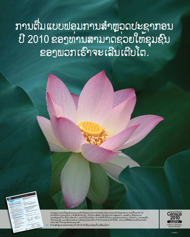 Laotian Awareness Poster by Bureau of the Census, 2010 — digital art print download