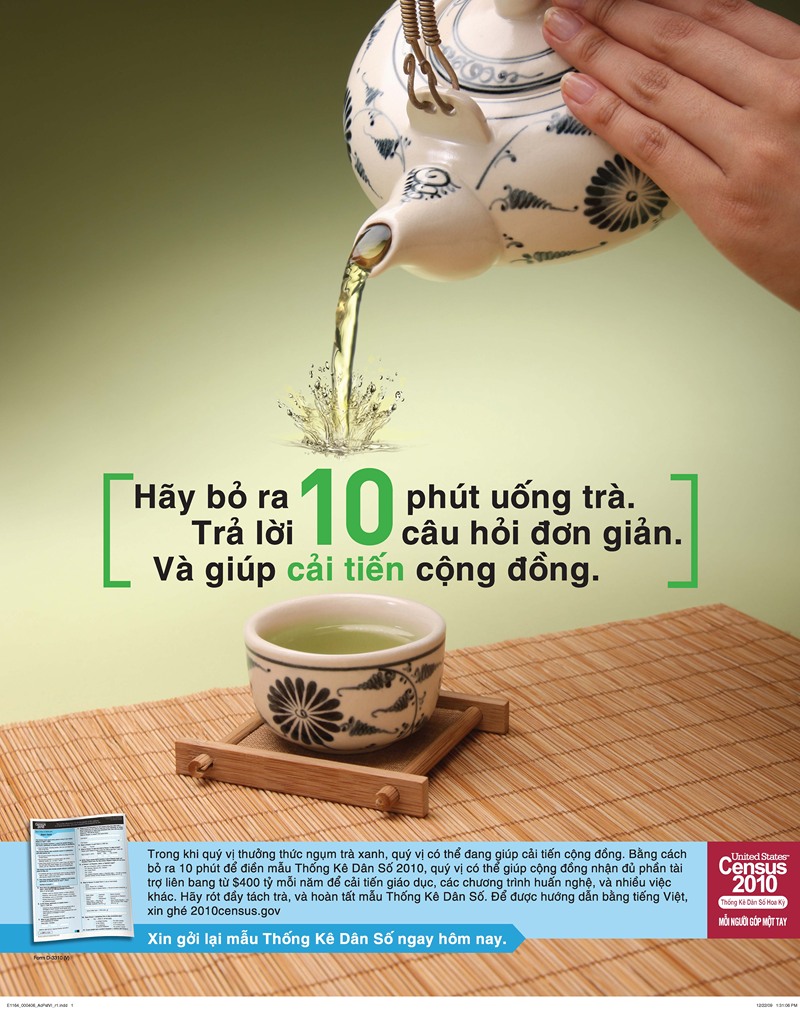 Vietnamese Action Poster by Bureau of the Census, 2010 — digital art print download