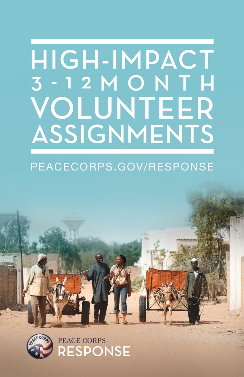 Volunteer Assignments by Peace Corps — digital art print download