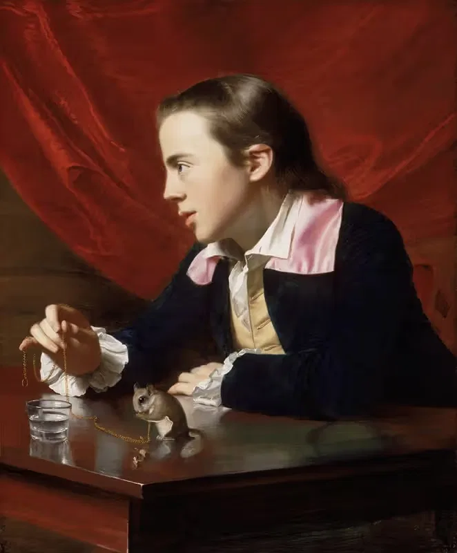 Мальчик с летящей белкой (Генри Пелхэм) by Джон Синглтон Копли, 1765 — digital art print download