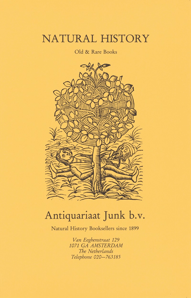 Affiche van Antiquariaat Junk te Amsterdam — Anonymous