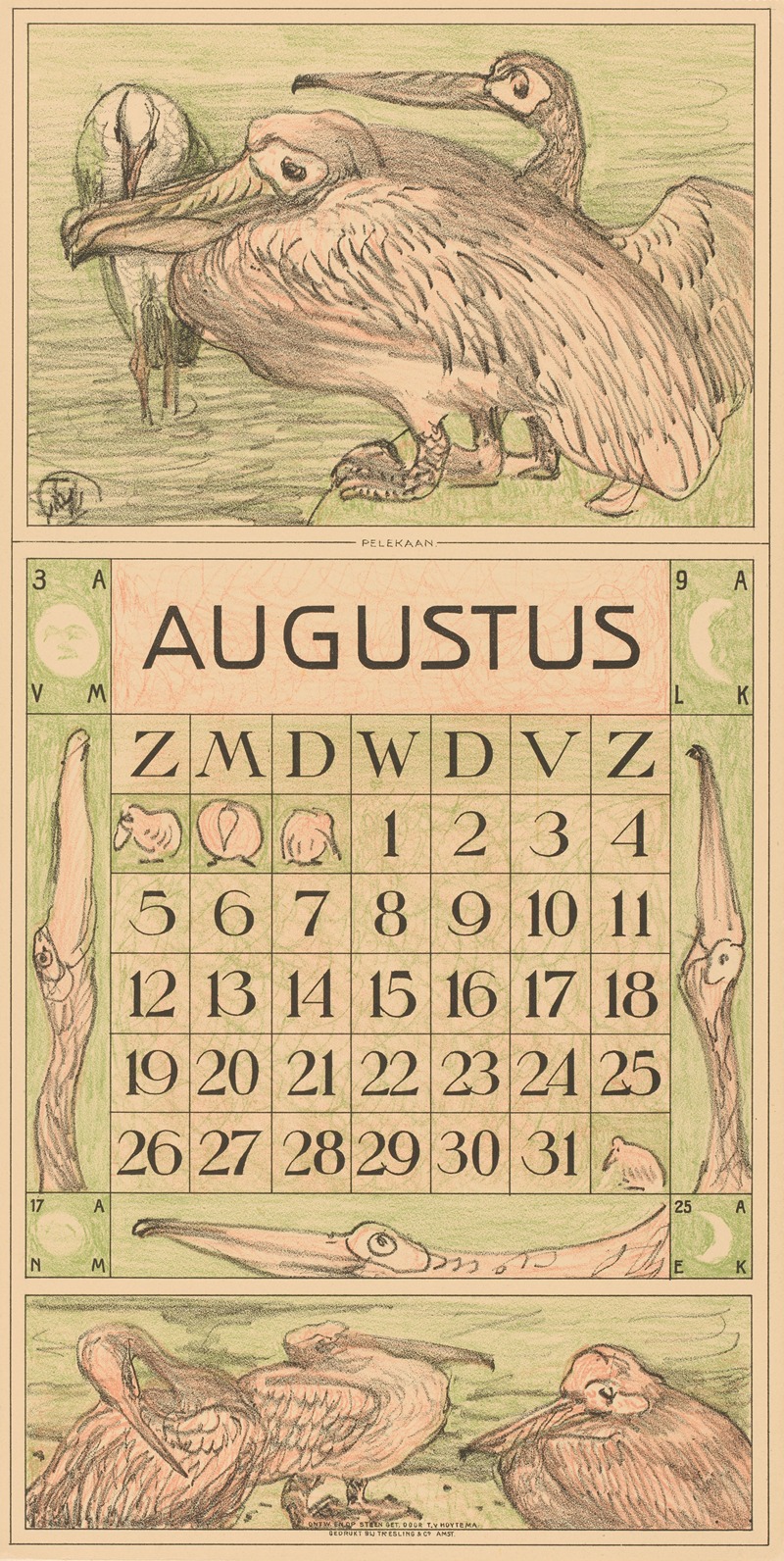 Kalenderblad augustus met pelikanen — Theo van Hoytema
