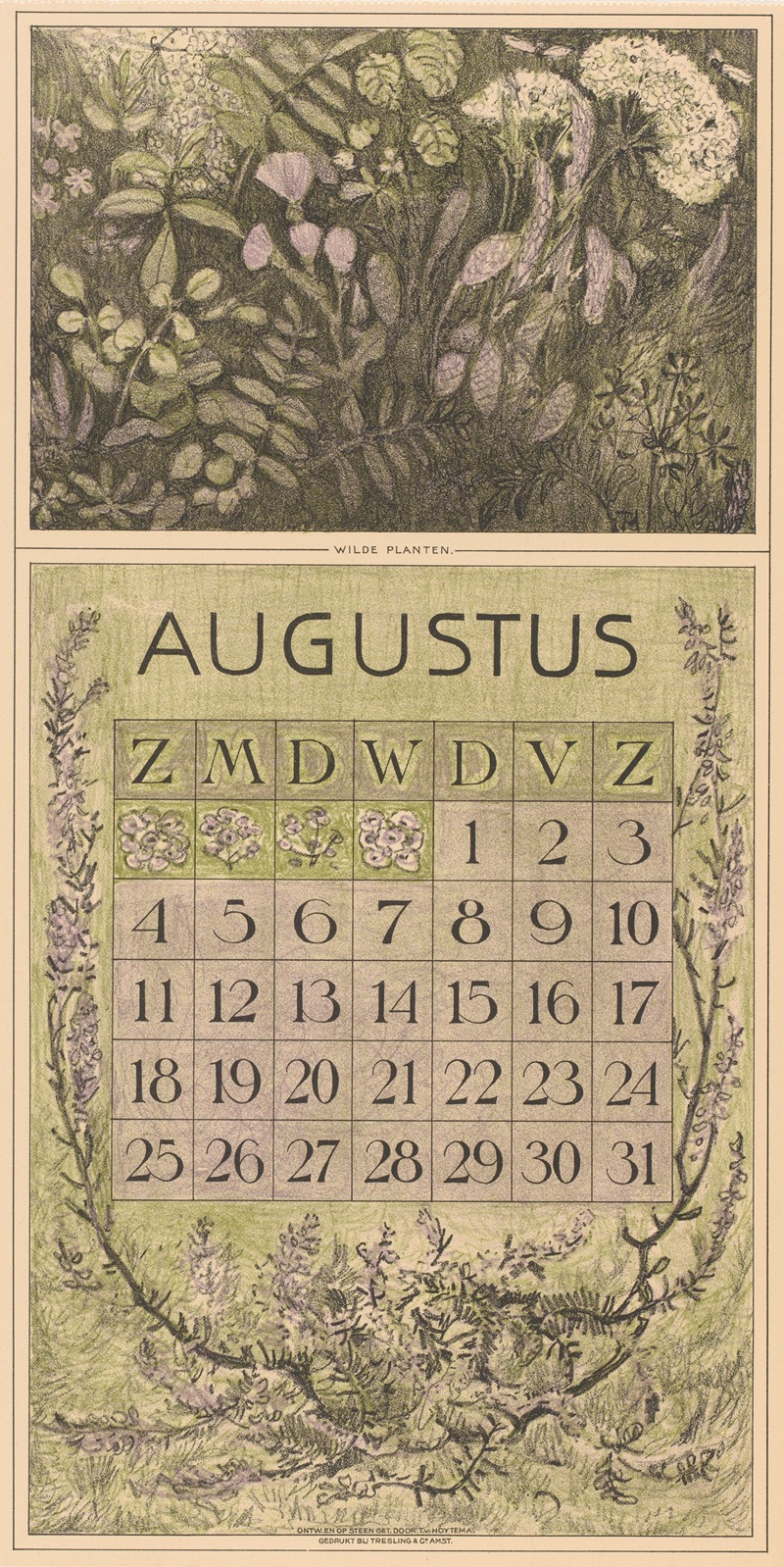 Kalenderblad augustus met planten — Тео ван Хойтема