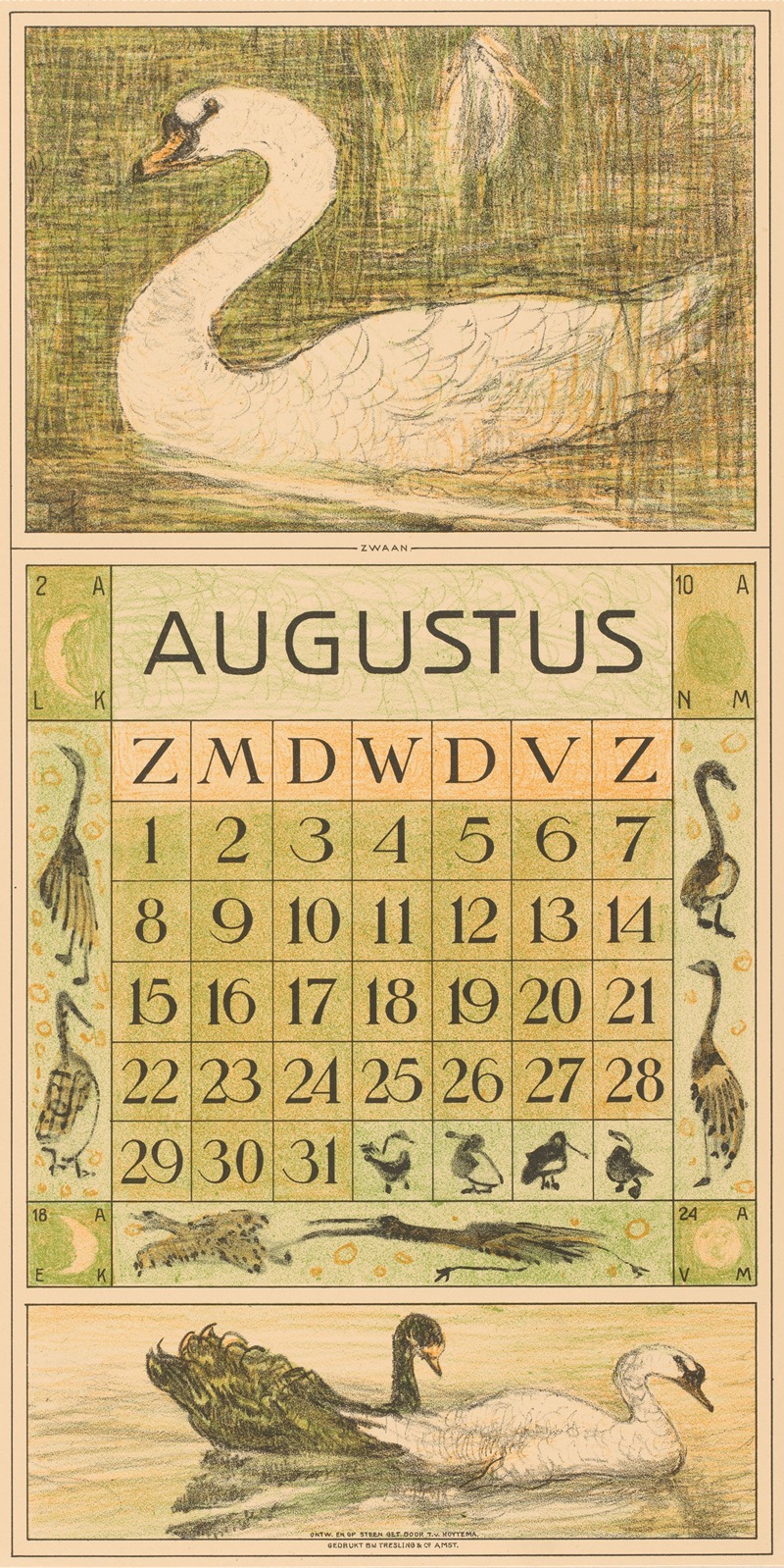 Kalenderblad augustus met zwaan — Theo van Hoytema