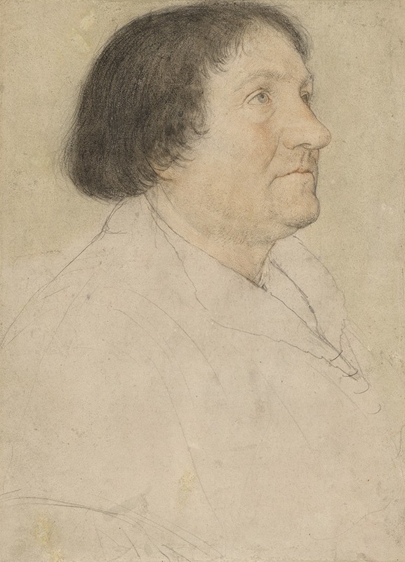Bildnis des Jacob Meyer zum Hasen — Hans Holbein The Younger