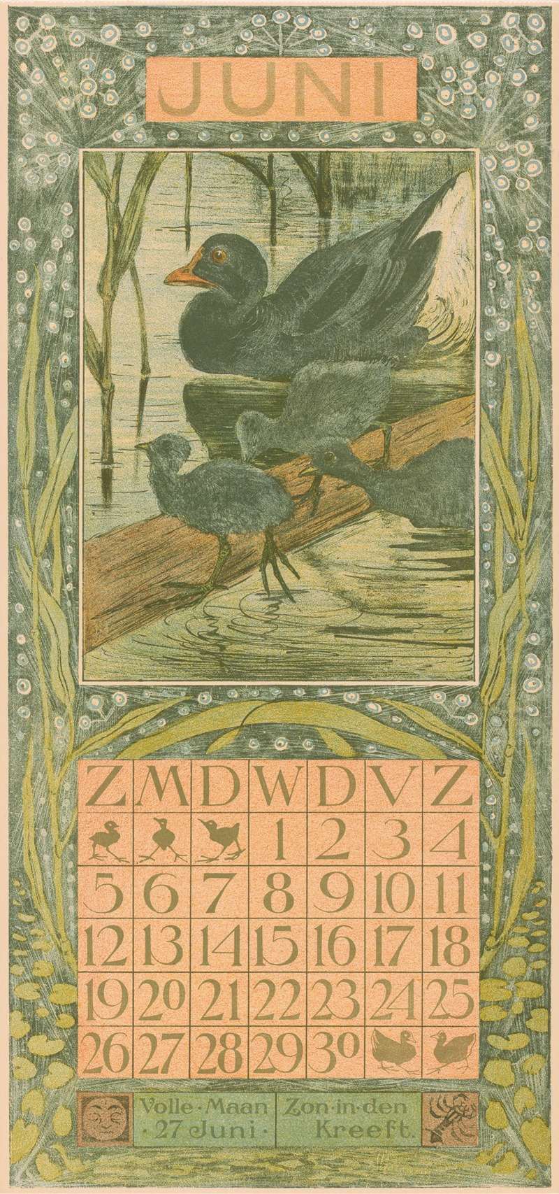 Kalenderblad juni met zwarte eend by Тео ван Хойтема, 1903 — digital art print download