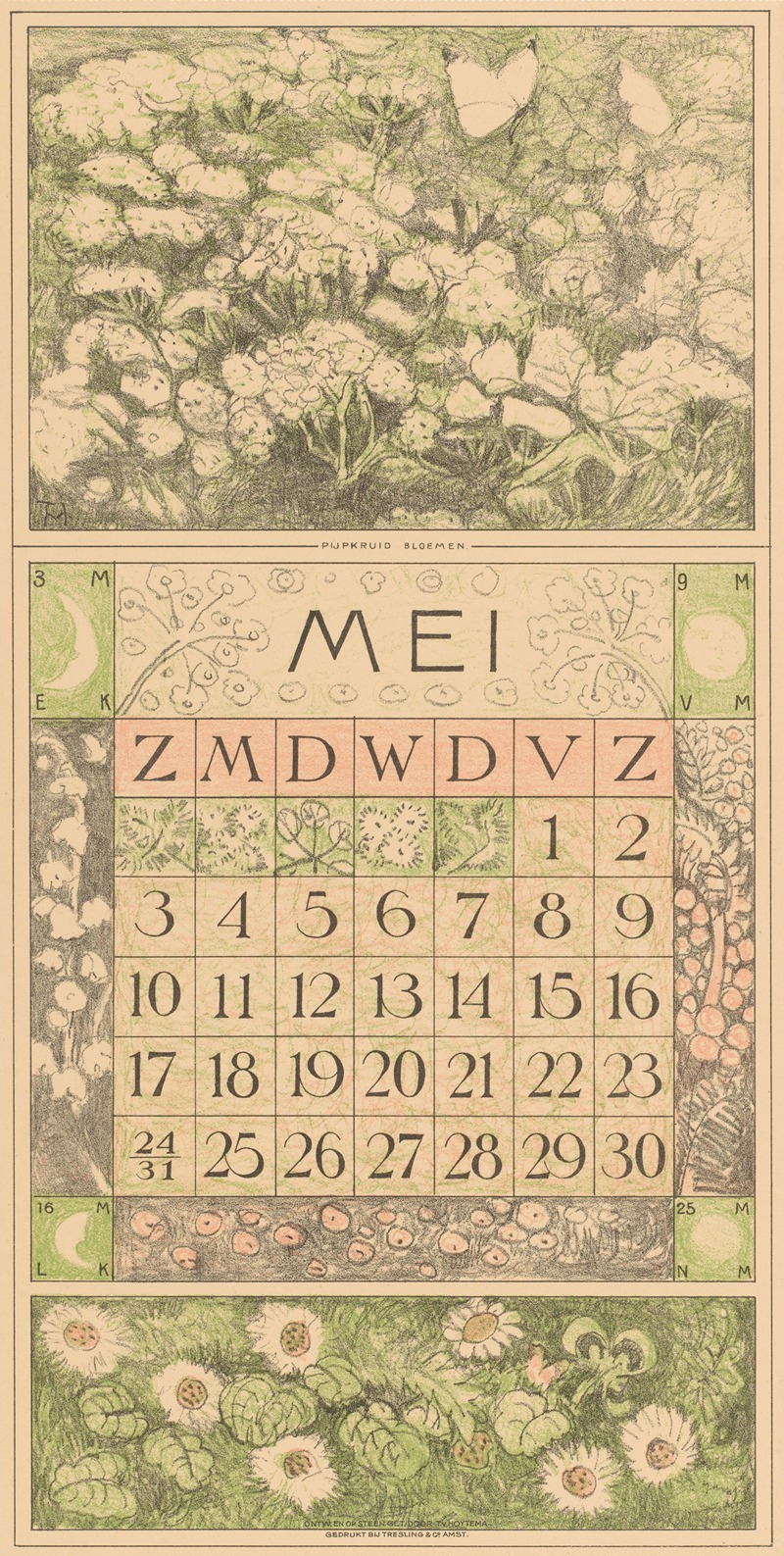 Kalenderblad mei met dolle kervel — Theo van Hoytema