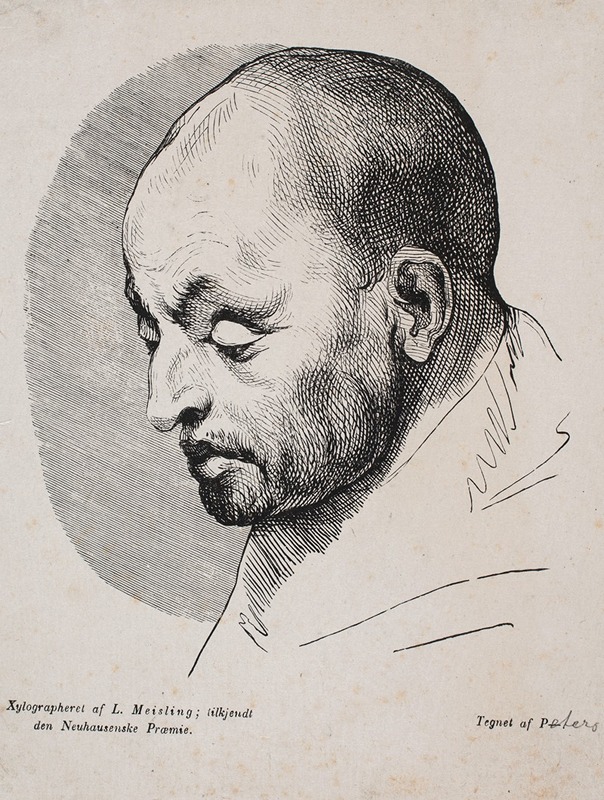 Hovedet af en skaldet mand — Peter Ludvig Meisling