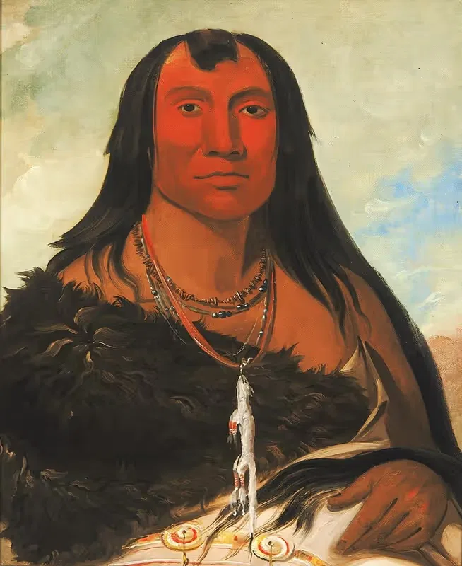 Чах-Эй-Чопес, Четыре волка, вождь в трауре by Джордж Кэтлин, 1832 — digital art print download
