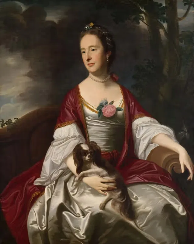 Mrs. Jerathmael Bowers by John Singleton Copley — digital art print download