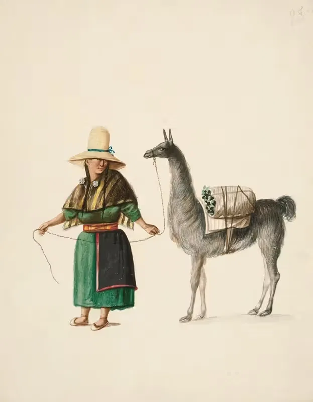 Indian Woman and Llama — Francisco Fierro