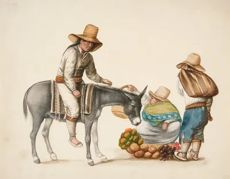 Indian Woman Selling Vegetables — Francisco Fierro