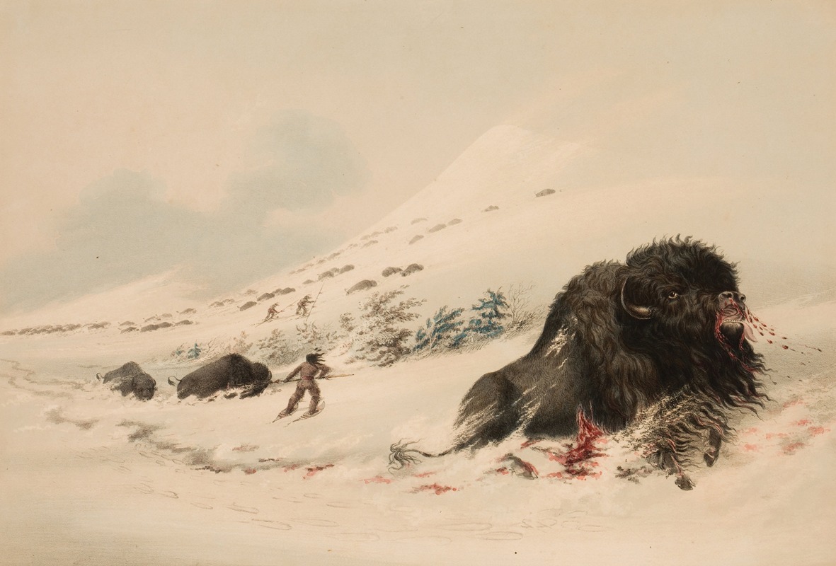 Buffalo Bull, in Snow Drift by Джордж Кэтлин, 1844 — digital art print download