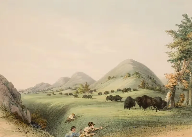 Охота на буйволов, приближающаяся в овраге by Джордж Кэтлин, 1844 — digital art print download