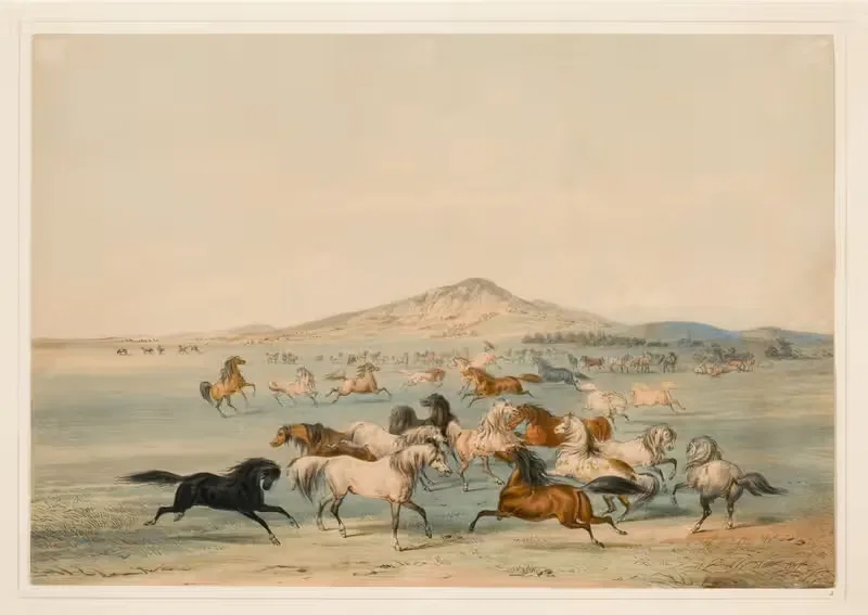 Дикие лошади в игре by Джордж Кэтлин, 1844 — digital art print download