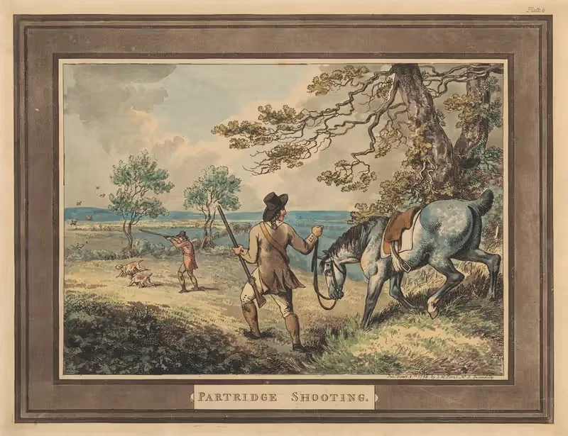 Стрельба по куропаткам by Самуэль Ховитт, 1796 — digital art print download