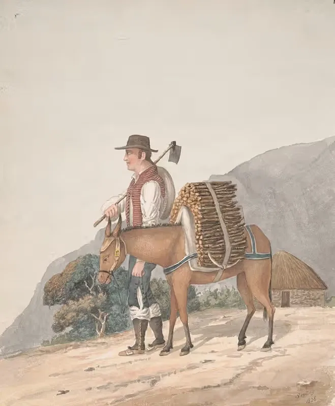 Firewood Seller, Tenerife — Alfred Diston