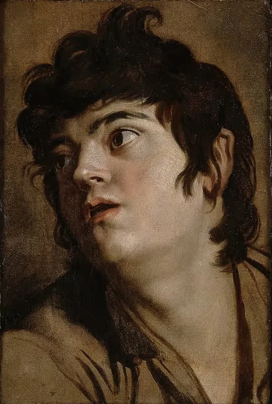 Head of a Young Man — Peter Paul Rubens